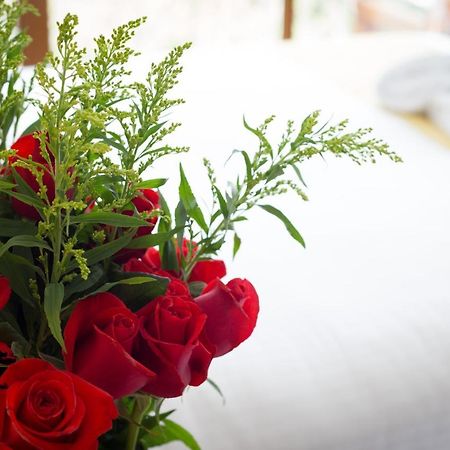 Ilalo Garden Hotel & Restaurant Quito Kültér fotó